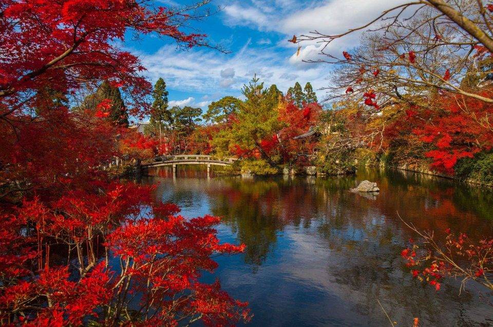 Incentive Travel dla firm Japonia