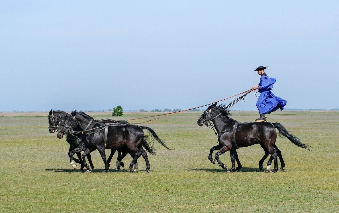 Puszta wino i termy